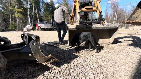 skid steer locked and seized